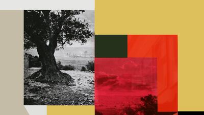 ‘This Place Is Mine’ is a collage showing an olive tree, and a man sitting on the Mount of Olives.