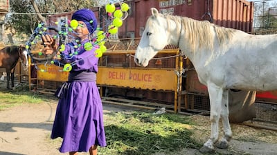 Sartaj Singh practises his martial arts at the farmers' protest camp, where he and hundreds of fellow Nihang are offering protection. Taniya Dutta for The National
