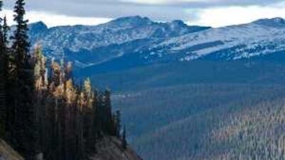 Dying and dead pines, firs and spruces speckle with red trees in an area near the Fraser Experimental Forest in Grand County, Colorado. The burrowing mountain pine beetles kill mature lodgepole pines.