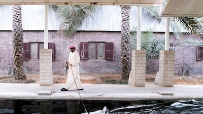 Khalid Khalifa Al Naboodah guides his horse on a morning swim.