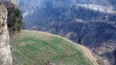 A wheat field tilled by Yu Wen Xian and her husband is expected to yield half its usual harvest because they cannot get enough water for irrigation.