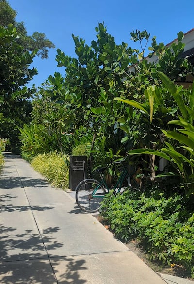 Whether enjoying the spa or cycling around the grounds, a sense of calm follows you at Banyan Tree Phuket. Hayley Kadrou / The National