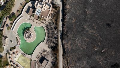An area ravaged by wildfire on Rhodes, Greece. ‘The climate crisis and loss of biodiversity both damage human health,’ said one expert. Getty Images