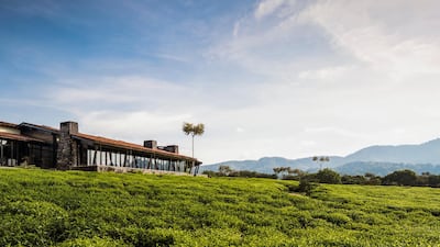 Rwanda is on our writer's travel bucket list. Courtesy One&Only Resorts