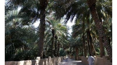 Readers congratulate Al Ain on being selected as a Unesco World Heritage Site. Sammy Dallal / The National