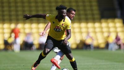 Alex Morton / Getty Images