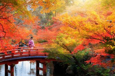 Autumn Maruyama Park, Kyoto, Japan. Getty Images