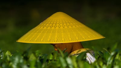 A woman works in the field in a valley between Zunyi and Maotai town, Guizhou province, China. EPA