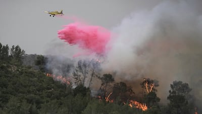 A plane uses fire retardant to extinguish flames near Jerusalem. AP