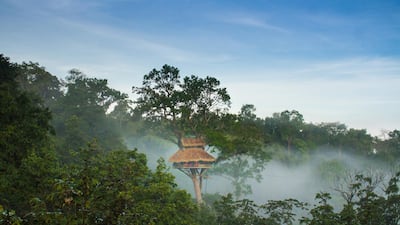 The treehouses stand between 30m and 50 high. Courtesy Souksamlan Laladeth