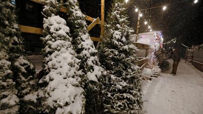Snow falls on Christmas trees in New York. EPA
