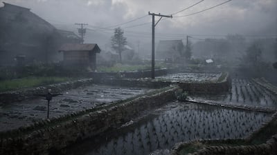 Silent Hill f is set in 1960s Japan and attempts to revive the popular horror series. Photo: Konami