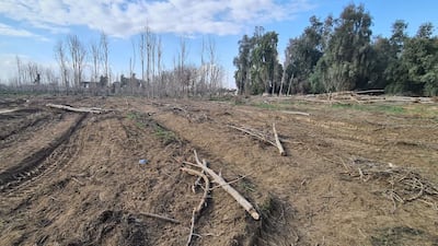 Work to remove landmines and explosives is still under way. Photo: Mosul Eye