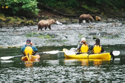 Bear-watching by kayak.