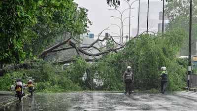 Police at the site after a fallen tree blocked a road in Colombo, posing a risk to motorists. AFP