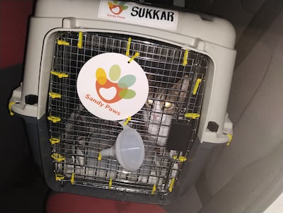 Sukkar was transported from Abu Dahbi to London on an Etihad flight. Daniel Bardsley / The National