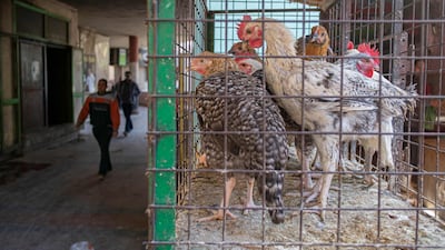 The market is hardly thriving since prices have soared. AFP