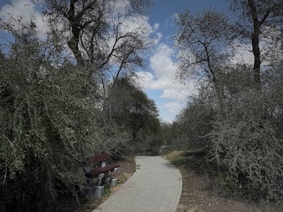 The park has a popular cycling route. Antonie Robertson / The National