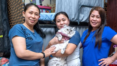 Sisters Norkhaisa, Alanisa and Aliah. Alanisa, 36, organised a job for Aliah, 42, through a maid agency, but when her older sibling arrived in Abu Dhabi she was mistreated by both the company and the family it placed her with. Victor Besa / The National