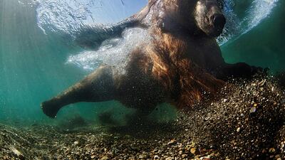 Mike Korostelev / UPY 2016