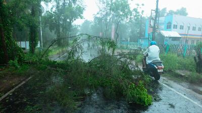 A man rides his bike past fallen tree branches along a road ahead of the expected landfall of cyclone Amphan in Digha, West Bengal, on May 20, 2020. India and Bangladesh began evacuating more than two million people on May 18 as a cyclone barrelled towards their coasts, with officials racing to ready extra shelters amid fears of coronavirus contagion in cramped refuges. / AFP / Dibyangshu SARKAR