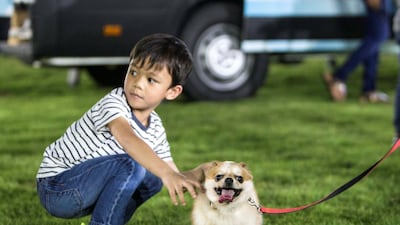 A boy pets a dog.