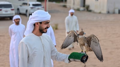 Emirati falconers travel internationally with their falcons, which have to be issued passports