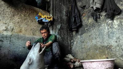 An Afghan day labourer skins a camel's head in Mazar-i-Sharif. Farshad Usyan / AFP