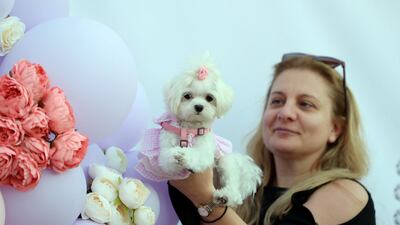 A prim and proper pooch. Chris Whiteoak / The National