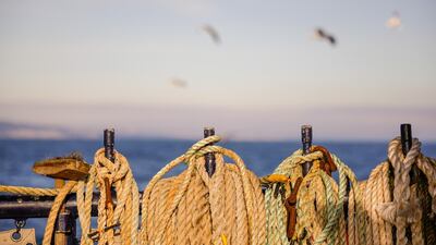 Coiled ropes hang from posts aboard the 'About Time' fishing boat as it trawls in the English Channel on January 10. Bloomberg