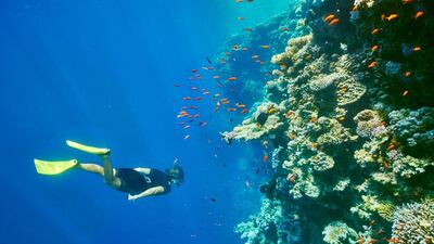 Jan Wlodarczyk / Alamy Stock Photo