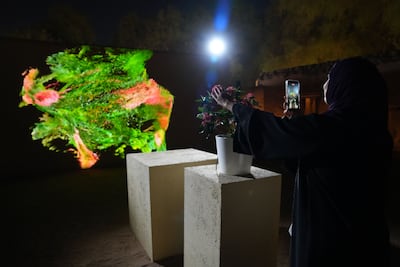 Floral Resonance by Christian Brinkmann has a flower pot which reacts to proximity and touch to create abstract shapes on the wall. Pawan Singh for The National