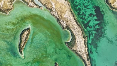 Part of the photographer's Emerald Water series, taken in the UAE. Photo: Moadh Bukhash