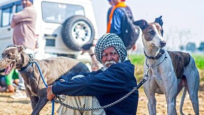 80 year old Rulda Singh from Ballowal with his race dogs Rock, right, and Sleepie. He has been participating in the gog race for the last five years.