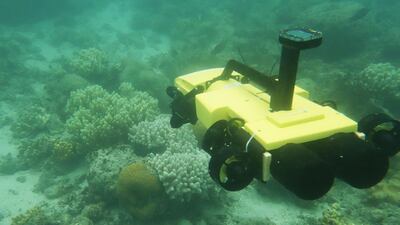 If commercial mining of seabeds is to prove viable, specialist machinery such as robot submarines will need to be developed. AFP