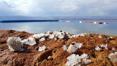 Salt crystals at Hilton Dead Sea Resort. Photo: Nico Dingemans