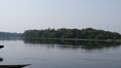 Situated at the heart of the central basin of the Congo river, the park is very isolated and accessible only by water. It is the habitat of many endemic endangered species, such as the bonobo, the Congo peacock, the forest elephant and the African slender-snouted or 'false' crocodile