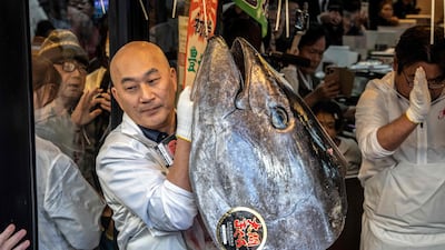 A member of staff holds up the head of a 243-kilogram bluefin tuna at the sushi restaurant 'Sushizanmai' in Tokyo after the New Year's auction at Toyosu fish market. A Japanese sushi entrepreneur paid a record $3. 2 million for a giant bluefin tuna at an annual prestigious new year auction in Tokyo's main fish market. AFP
