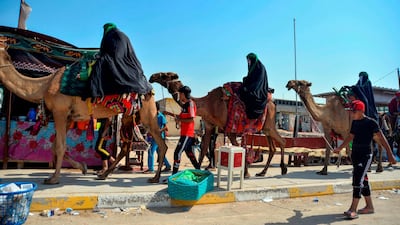 Shiite Muslim pilgrims travel on camels as they take part in a procession from the holy Iraqi city of Najaf towards the central shrine city of Karbala, ahead of the Arbaeen religious festival. AFP