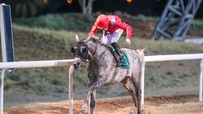 Patrick Cosgrave rides Sharkh to victory at Al Ain on Saturday, November 14, 2020. Courtesy ERA
