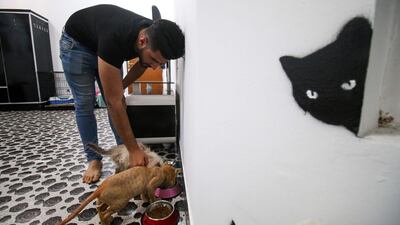 A night's stay, including meals of pate, grooming and various other treatments, costs between 5,000 and 7,000 Iraqi dinars (Dh12 to Dh18). Haidar Mohammed Ali / AFP Photo