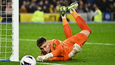 Bart Verbruggen makes a save for Brighton. Reuters