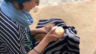 Razan Alnajar bottle feeds a kitten. Nagham Mohanna for The National
