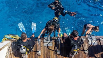 The attack brought down a Metrojet plane, killing 224 mostly Russian passengers