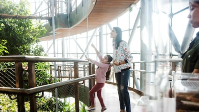 The Green Planet offers one free ticket for children in school uniform, weekdays from 1pm during Ramadan, when one adult pays. Courtesy The Green Planet