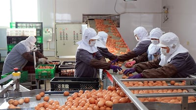 Workers wearing face masks sort and package eggs at a factory, as the country is hit by an outbreak of the novel coronavirus, in Rongcheng, Shandong province, China. Reuters