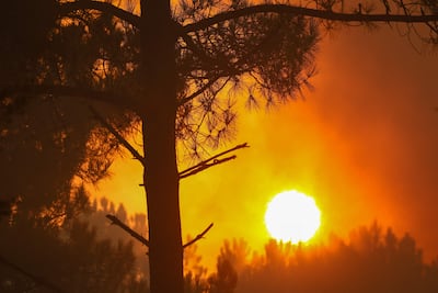 The sun sets on a smouldering forest in Claouey, France. AFP