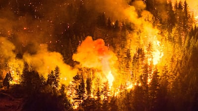 A forest fire engulfs Mount Pirque, in Argentina's Patagonia region. AFP