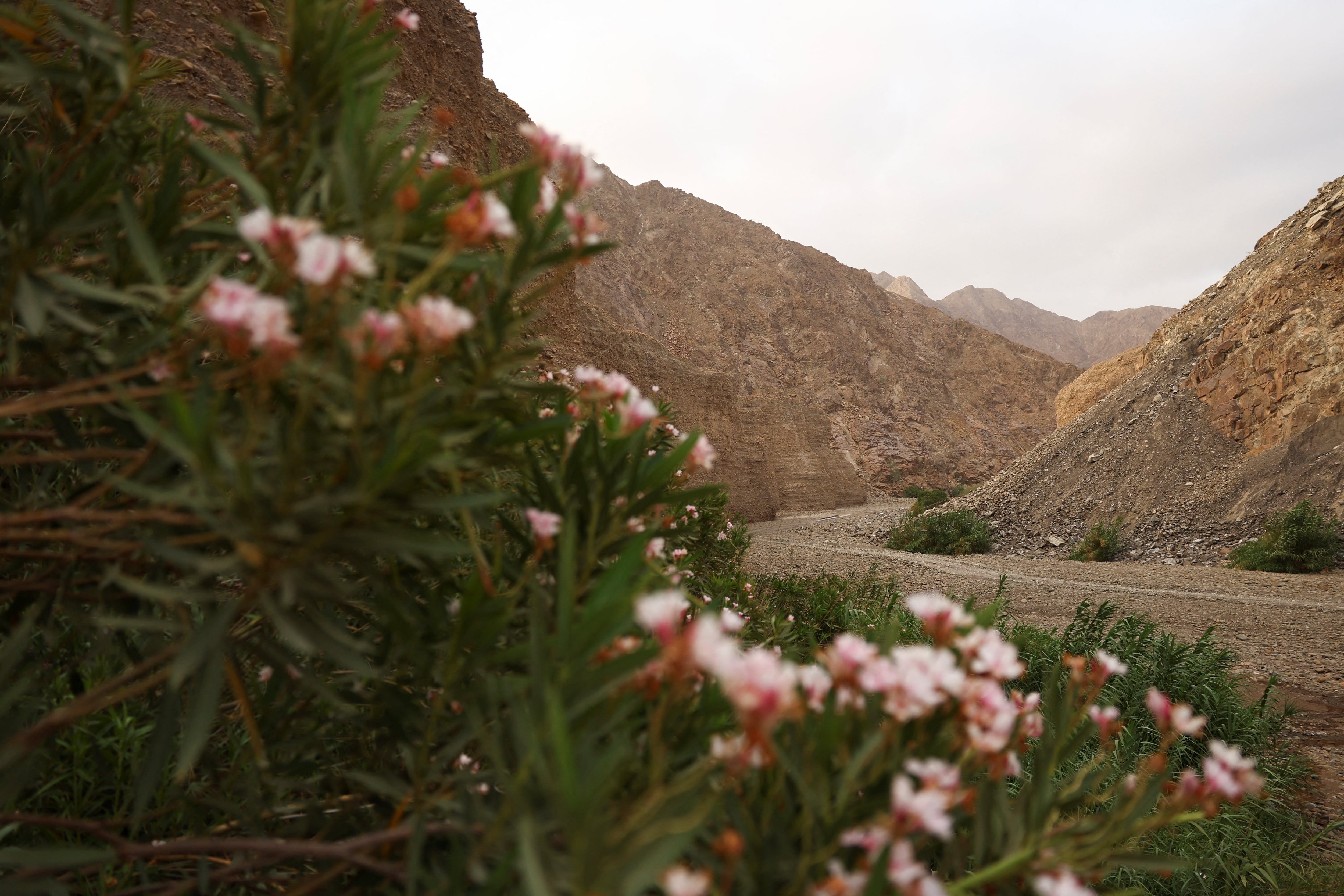 Why the UAE's latest Unesco recognition matters