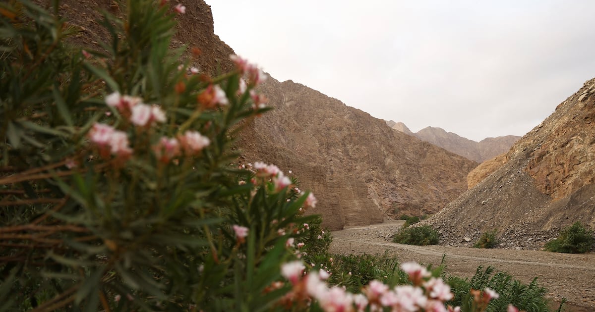 Why the UAE’s latest Unesco recognition matters Why the UAE's latest Unesco recognition matters